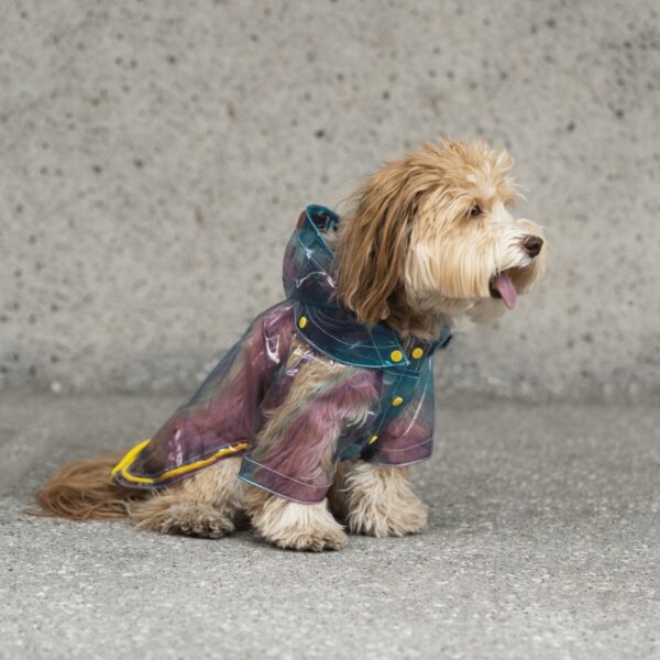 Kinney Dog Translusent Raincoat - Image 6