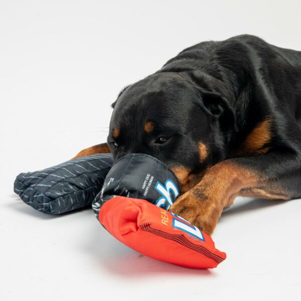 Lick-Rich- Dog Toy - Image 2