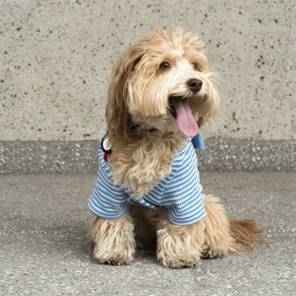 Rubert Waffle Dog Robe - Image 6