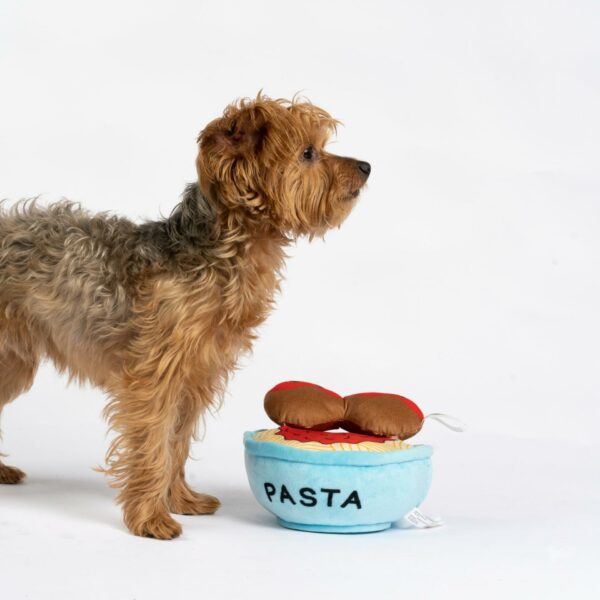Spawghetti & Meatballs Dog Toy - Image 2