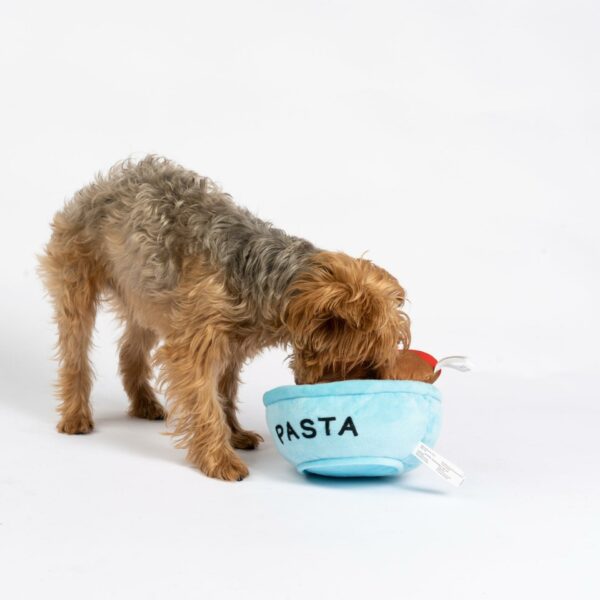Spawghetti & Meatballs Dog Toy - Image 3