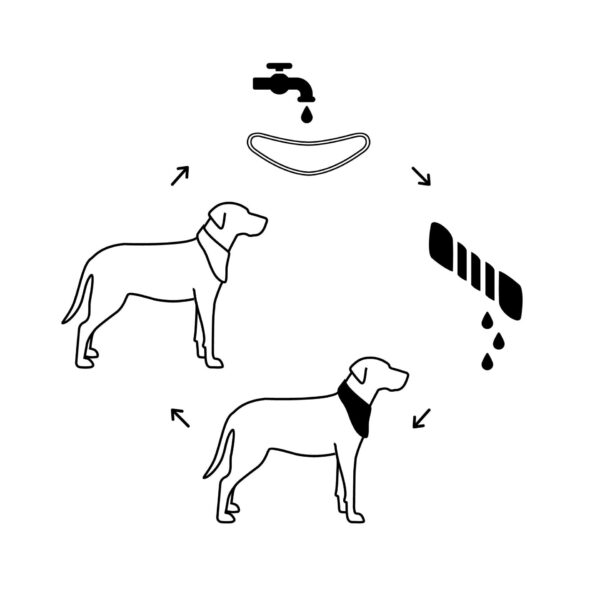 ICE BAND - Dog Cooling Bandana - Image 5