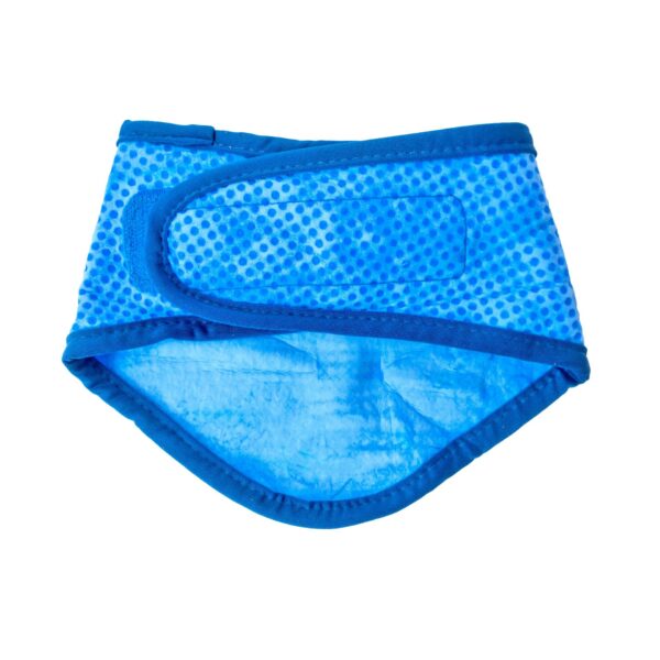 ICE BAND - Dog Cooling Bandana - Image 3