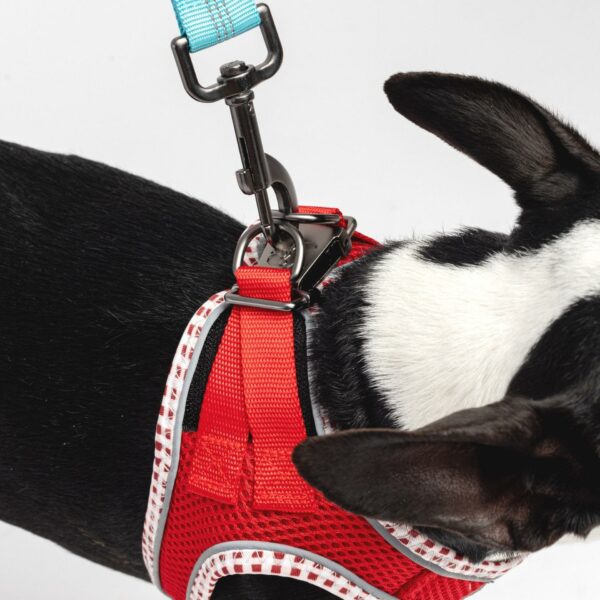 Step-In Dog Harness - Red - Image 3