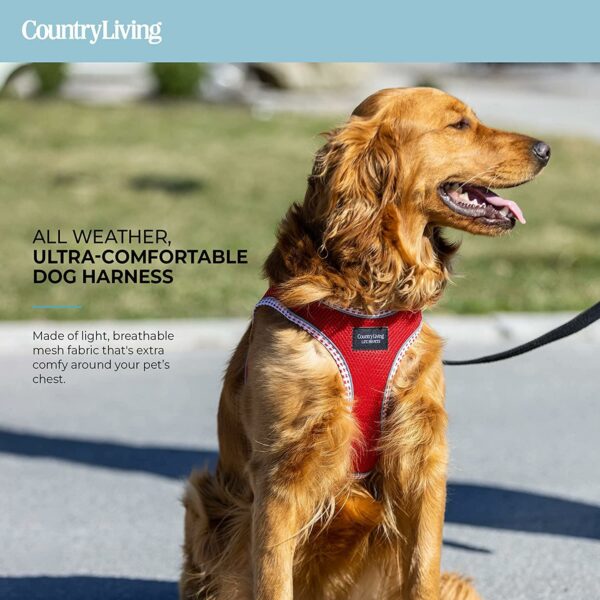 Step-In Dog Harness - Red - Image 6
