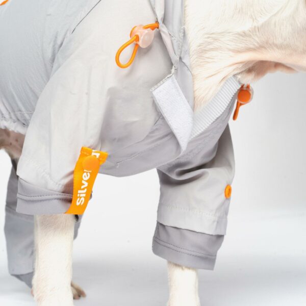 Sammy - Splash Suit - Image 4