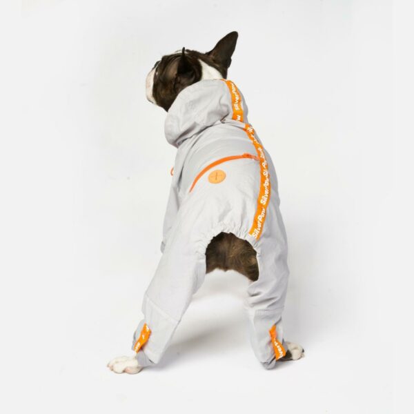 Sammy - Splash Suit - Image 5