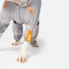 Sammy - Splash Suit - Image 6