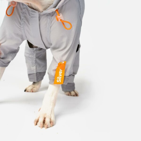 Sammy - Splash Suit - Image 6