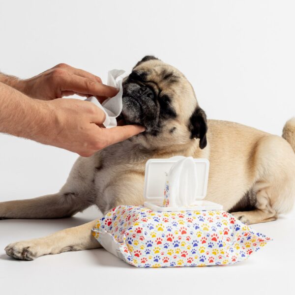 Get Fresh Dog Wipes - Citrus - 100ct - Image 2