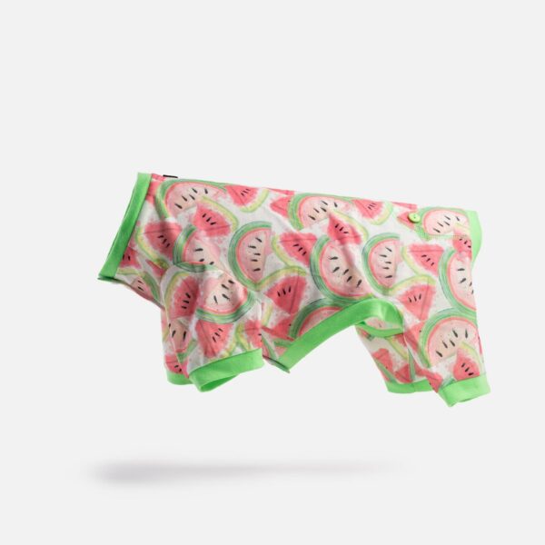 Fruit Dog Pajama - Watermelon - Image 2