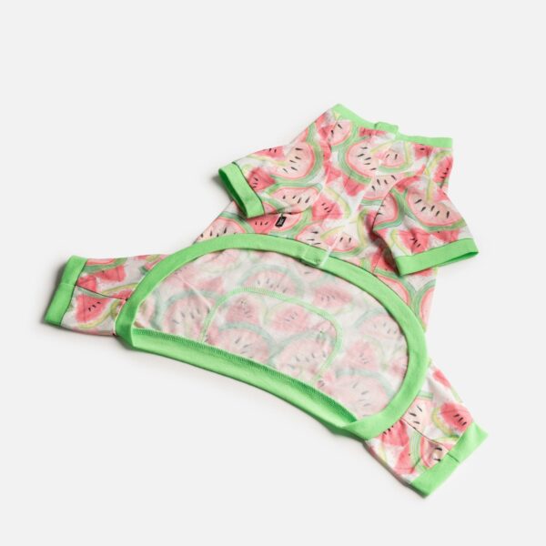 Fruit Dog Pajama - Watermelon - Image 4