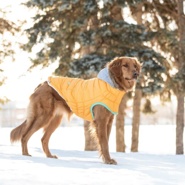 Winter Sailor Parka - Yellow - Image 4