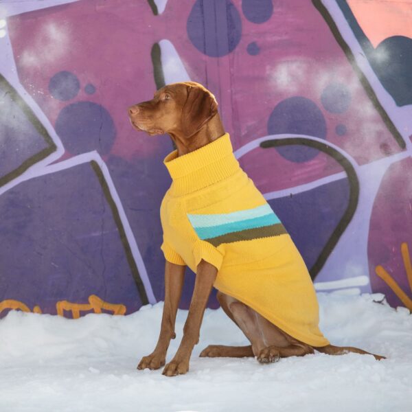 Alpine Sweater - Yellow - Image 5