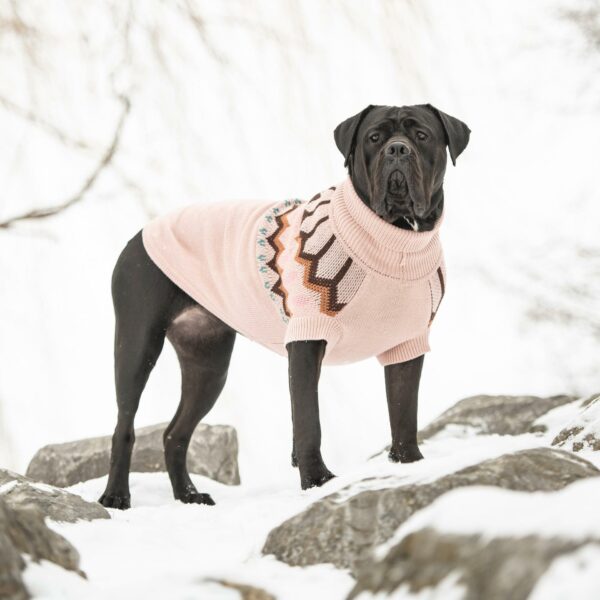 Heritage Sweater - Pink - Image 5