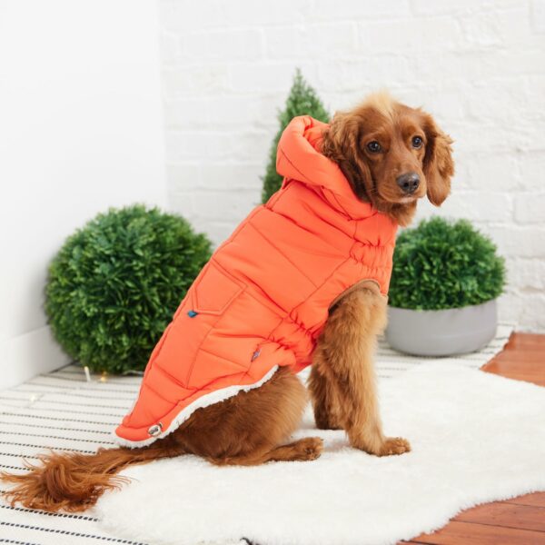 Super Puff Parka - Orange - Image 4