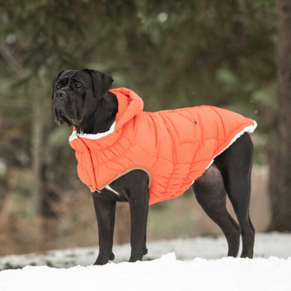 Super Puff Parka - Orange - Image 5