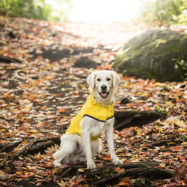 Reversible Elasto-Fit Raincoat - Yellow - Image 5