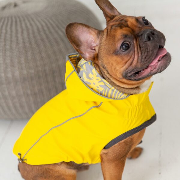Reversible Elasto-Fit Raincoat - Yellow - Image 6