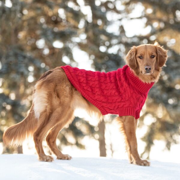 Chalet Sweater - Red - Image 5