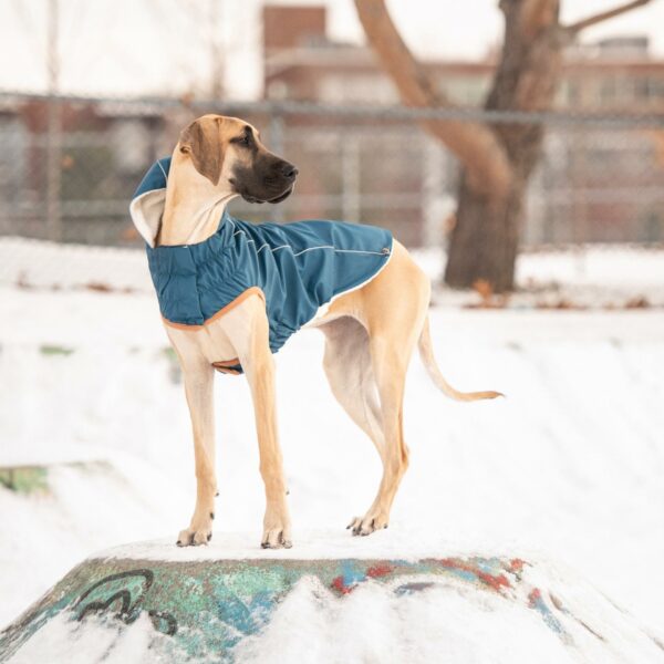 Insulated Raincoat - Dark Blue - Image 5