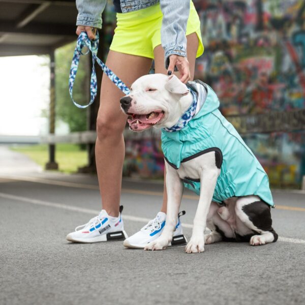 Reversible Raincoat - Neon Aqua with Iridescent - Image 5