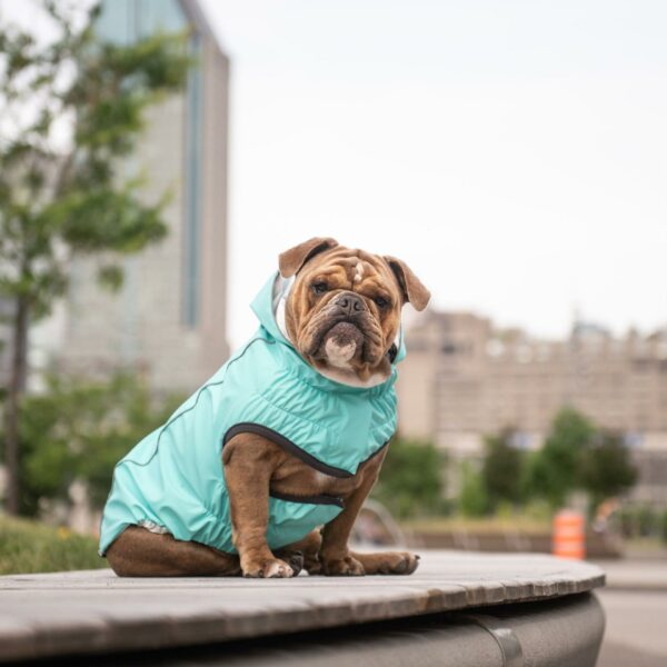 Reversible Raincoat - Neon Aqua with Iridescent - Image 6