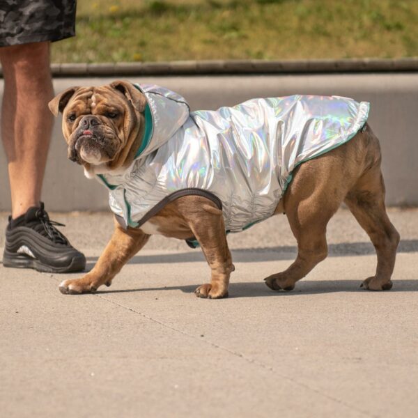 Reversible Raincoat - Neon Aqua with Iridescent - Image 7