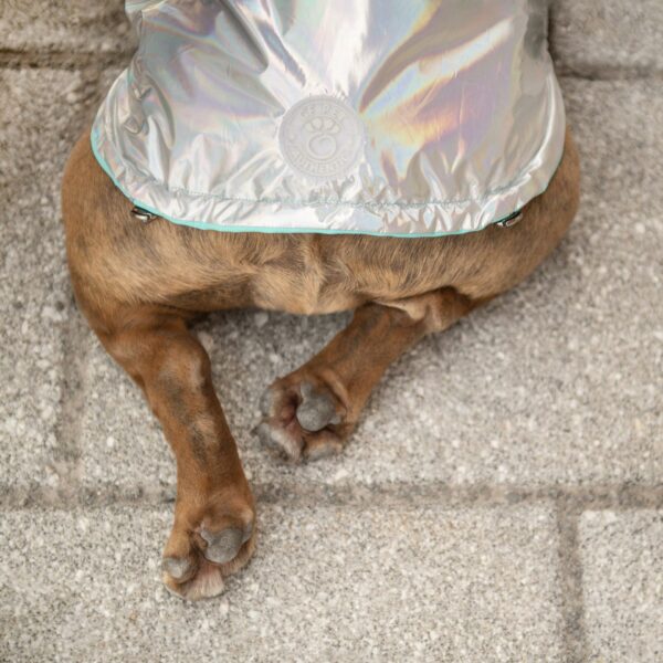 Reversible Raincoat - Neon Aqua with Iridescent - Image 8