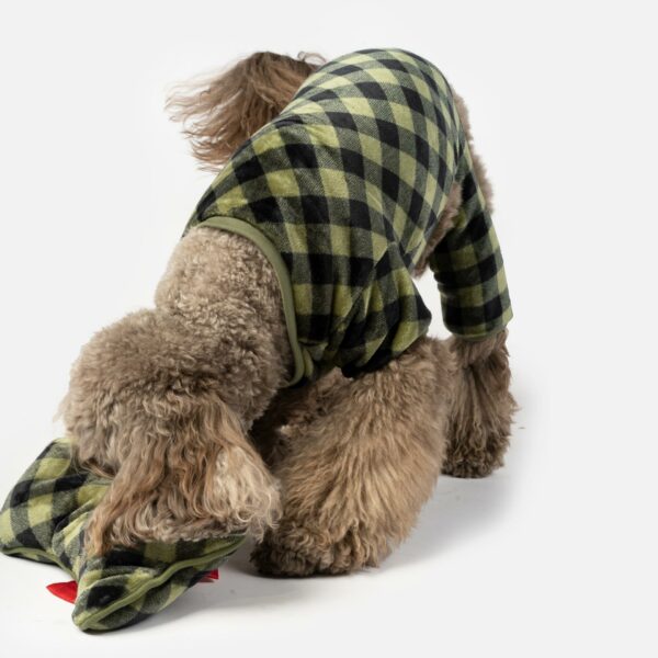 Elf Dog Pjs & Stocking Set - Green Plaid - Image 4