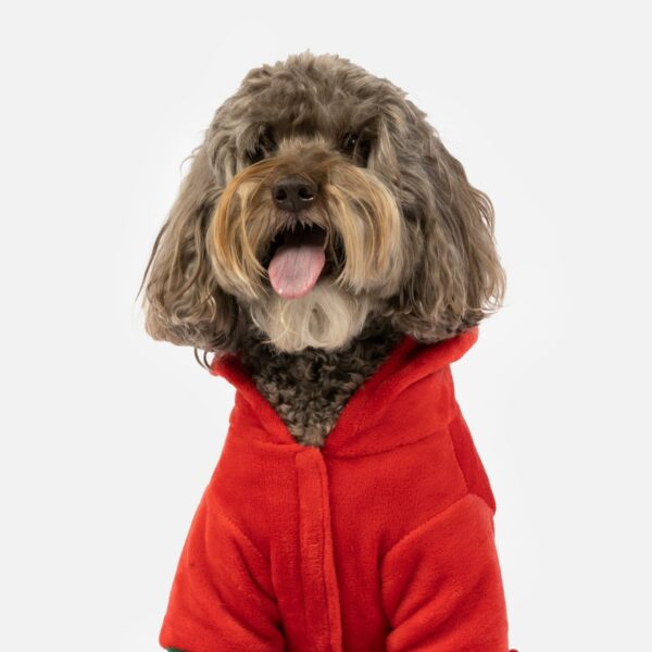 Christmas Tree Dog Pjs - Image 4