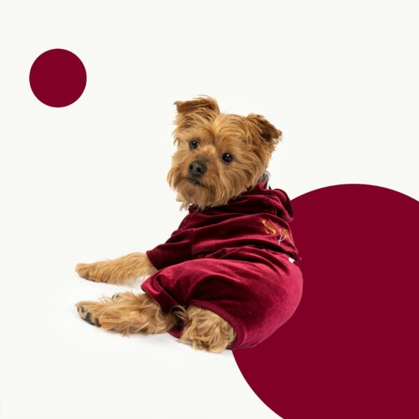 Coco Velour Pjs - Wine - Image 2