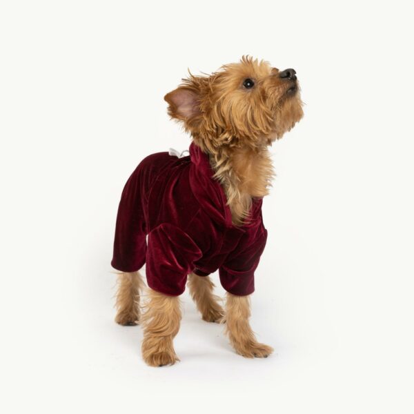 Coco Velour Pjs - Wine - Image 6