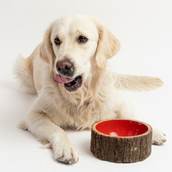 Farmhouse Wood Dog Bowl - Image 2