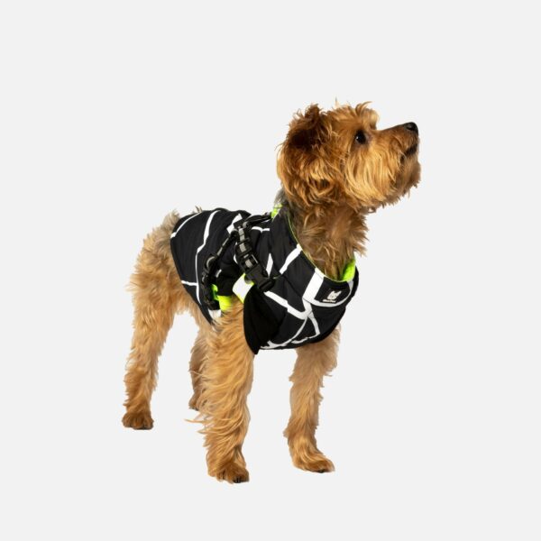 Fonda Dog Jacket - Image 5