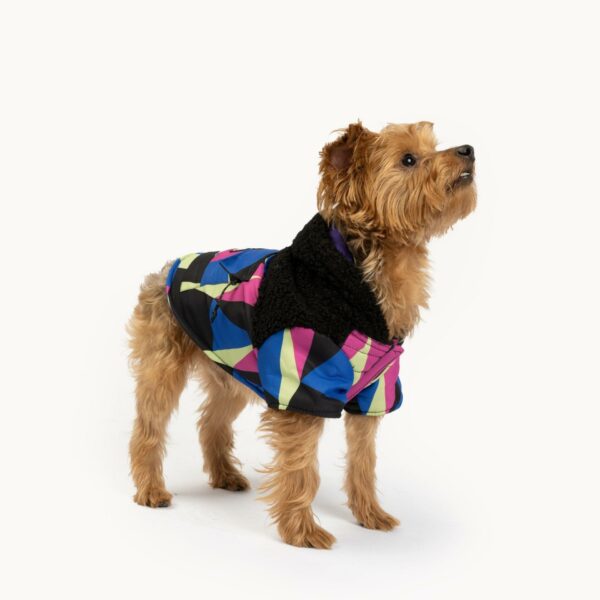 Ingo Dog Jacket - Image 5