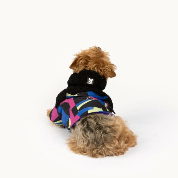 Ingo Dog Jacket - Image 6
