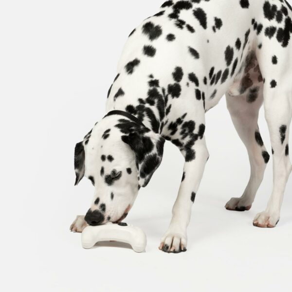 Game Console With Chicken Scent Dog Toy - Image 6