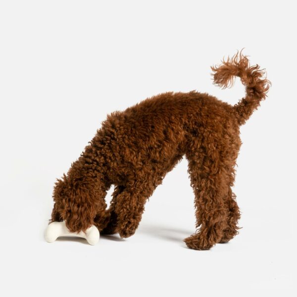 Game Console With Chicken Scent Dog Toy - Image 8