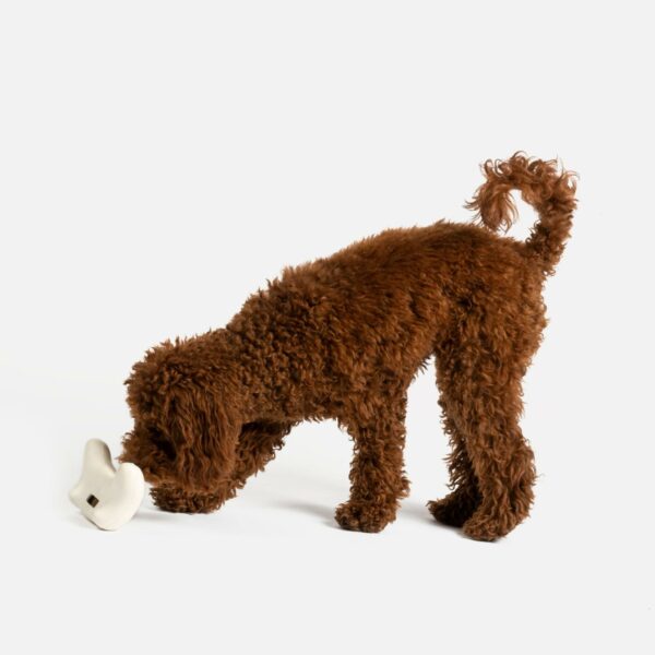 Game Console With Chicken Scent Dog Toy - Image 9