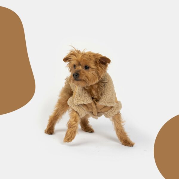 Millie Dog Jacket - Image 2