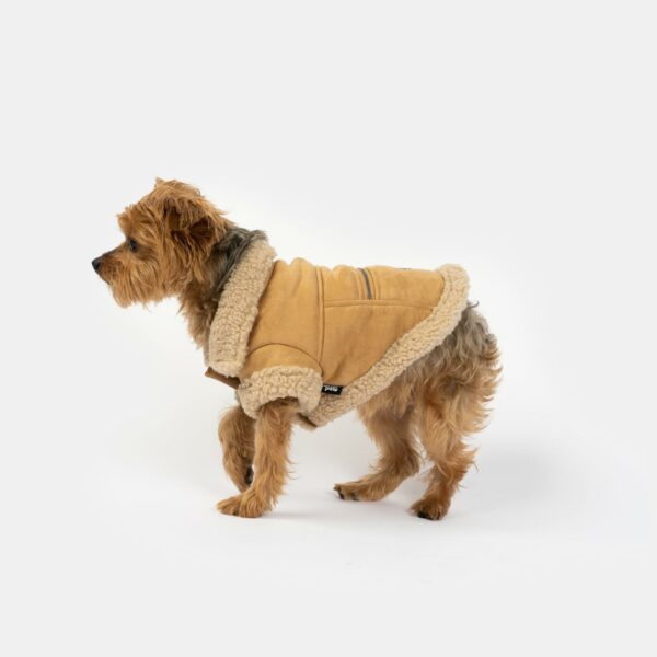 Millie Dog Jacket - Image 5