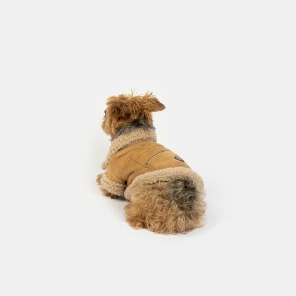 Millie Dog Jacket - Image 6