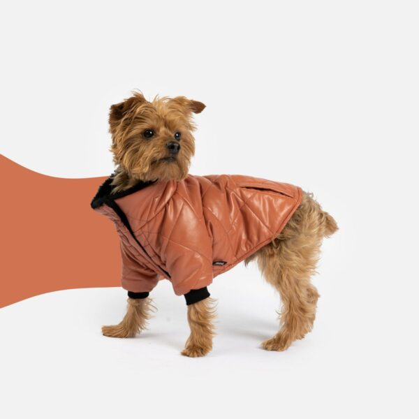 Phoenix Dog Jacket - Terracotta - Image 2