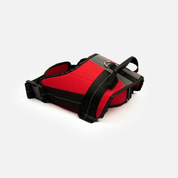 Heavy Duty Harness Red - Image 2