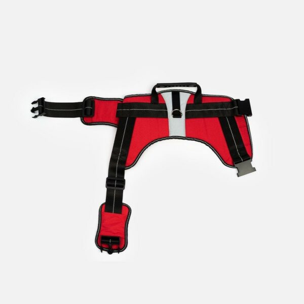 Heavy Duty Harness Red - Image 3