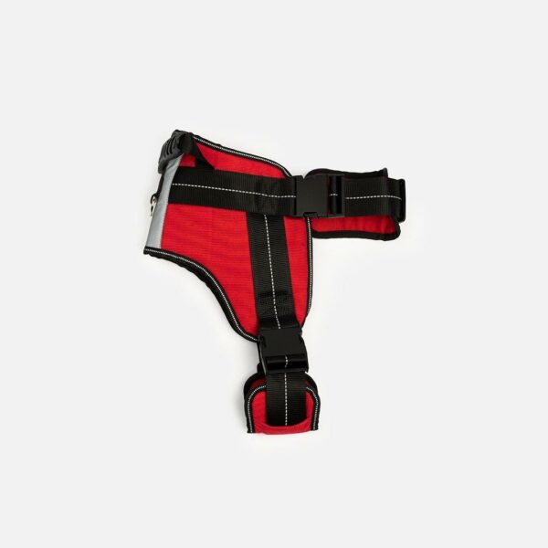 Heavy Duty Harness Red - Image 4