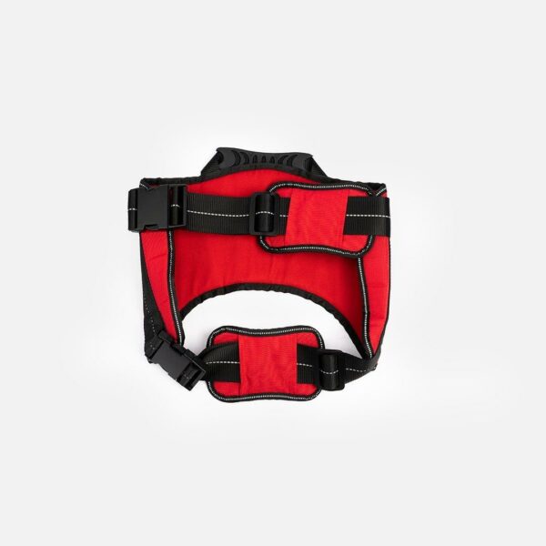 Heavy Duty Harness Red - Image 5