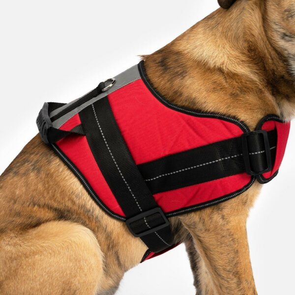Heavy Duty Harness Red - Image 7