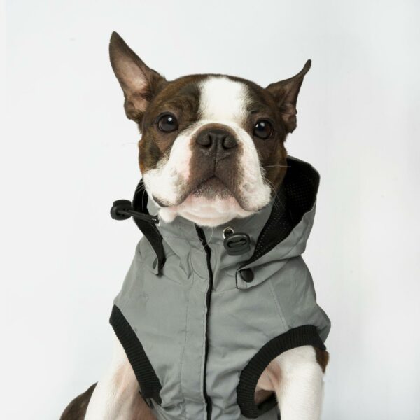Max - Reflective Raincoat - Image 8